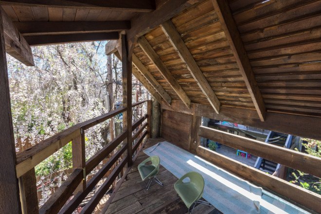 carroll gardens, brooklyn, treehouse, gennaro brooks-church, green building, reclaimed materials, natural pool, natural swimming pool, chemical-free pool, airbnb, brownstone, renovated brownstone, brownstone for rent