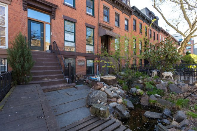 carroll gardens, brooklyn, treehouse, gennaro brooks-church, green building, reclaimed materials, natural pool, natural swimming pool, chemical-free pool, airbnb, brownstone, renovated brownstone, brownstone for rent