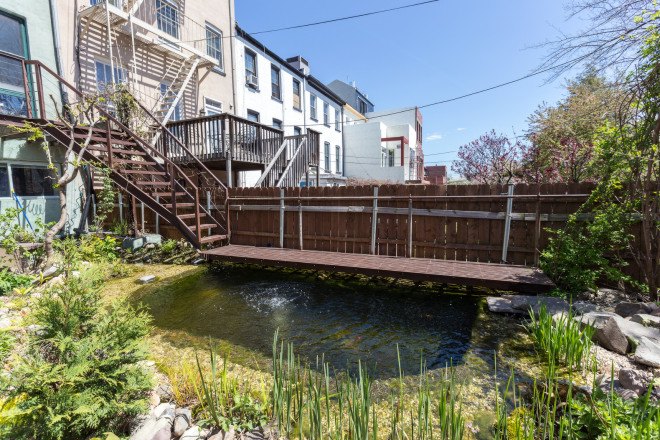 carroll gardens, brooklyn, treehouse, gennaro brooks-church, green building, reclaimed materials, natural pool, natural swimming pool, chemical-free pool, airbnb, brownstone, renovated brownstone, brownstone for rent