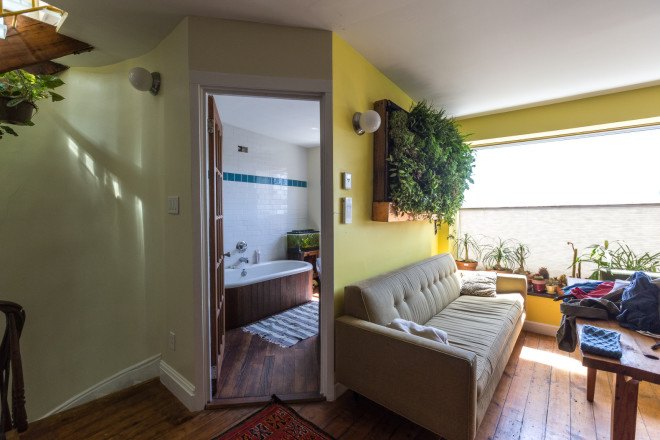 carroll gardens, brooklyn, treehouse, gennaro brooks-church, green building, reclaimed materials, natural pool, natural swimming pool, chemical-free pool, airbnb, brownstone, renovated brownstone, brownstone for rent