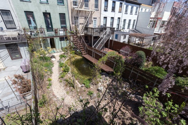 carroll gardens, brooklyn, treehouse, gennaro brooks-church, green building, reclaimed materials, natural pool, natural swimming pool, chemical-free pool, airbnb, brownstone, renovated brownstone, brownstone for rent