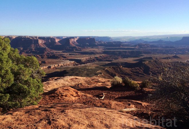 Canyonlands National Park, Dark Sky Parks, where to find the darkest sky, dark sky places, Canyonlands dark sky designation, gold tier dark sky parks, national parks in Utah, national park with darkest night sky, International Dark Sky Association, best Utah national park