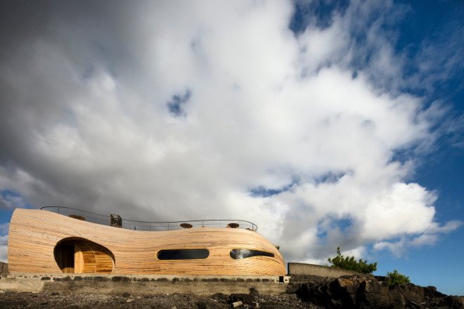 cella bar, cella bar madalena, cella bar portugal, fcc arquitectura, paulo lobo, FG+SG photography, wooden extension building, island bar, portuguese bar, pico island, bar pico island