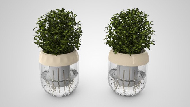 Droponic, smart garden, smart kitchen, kitchen garden, Droponic system, Droponic smart garden, gardening app, smart gardening, kitchen herbs, grow your own, reader submission