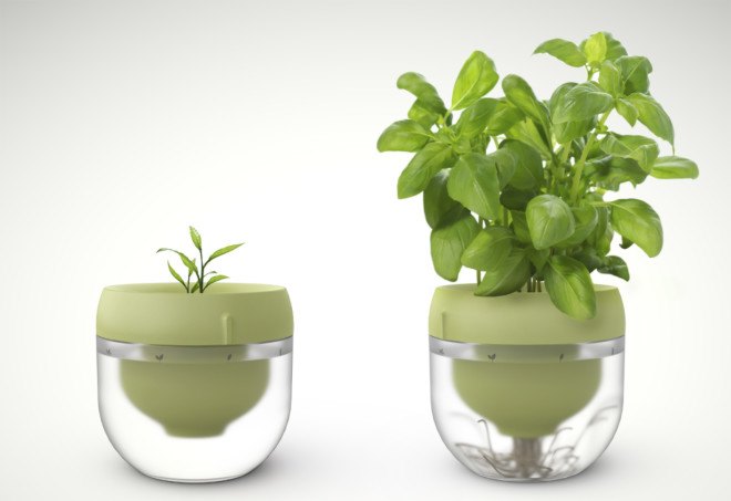 Droponic, smart garden, smart kitchen, kitchen garden, Droponic system, Droponic smart garden, gardening app, smart gardening, kitchen herbs, grow your own, reader submission