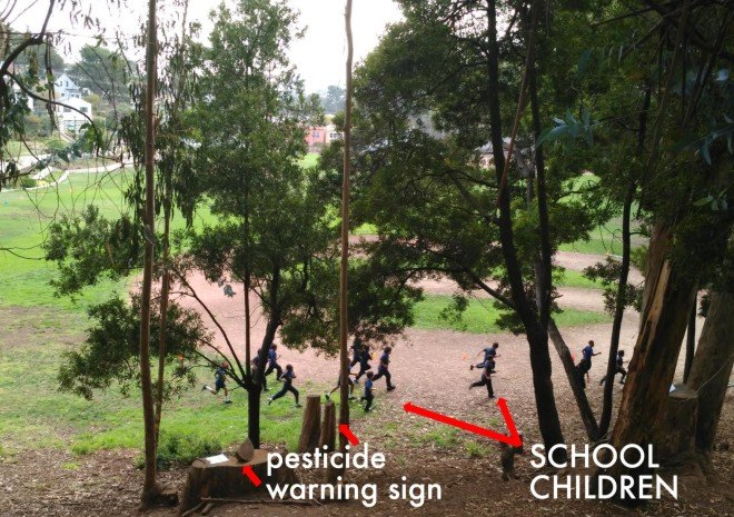 spraying glyphosate in Glen Park, spraying glyphosate in public parks, glyphosate in playgrounds, roundup in public spaces, roundup pesticide in parks, san francisco parks and rec, san francisco environment, san francisco rec and park, Phil Ginsburg, Scott Wiener