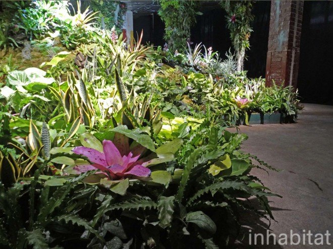 green design, eco design, sustainable design, green design nyc, eco design nyc, sustainable design nyc, low line, lowline, low line nyc, lowline nyc, parks, underground, underground park, lowline underground park, low line underground park, green park, eco park, sustainable park, exhibitions, green exhibitions new york, eco exhibitions, sustainable exhibitions, imagining the lowline, imagining the low line, low line preview, low line preview exhibitions, imagining the low line preview