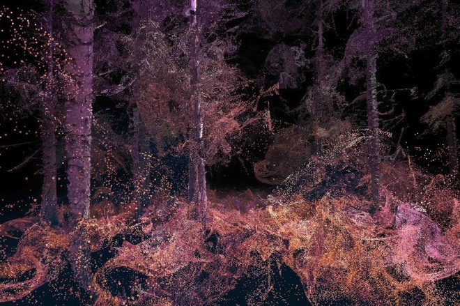 LIDAR, 3D, virtual reality, virtual reality art, drone filming, Marshmallow Laser Feast, Grizedale Forest, Lake District, England, English art, immersive art, forests, forest creatures, art installation, outdoor art