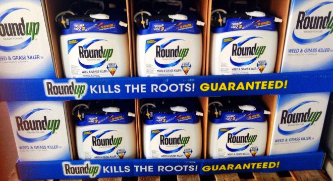monsanto, roundup, glyphosate, world health organization, environmental protection agency, lawsuits against monsanto, glyphosate cancer, roundup cancer, herbicide cancer