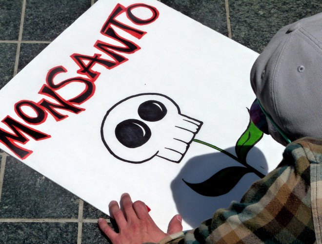 monsanto, roundup, glyphosate, world health organization, environmental protection agency, lawsuits against monsanto, glyphosate cancer, roundup cancer, herbicide cancer