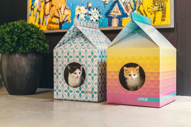 Petbo, petbo playhouse, cat playhouse, modern cat house, cat playhouse, cardboard cat house, cardboard pet house, cardboard, reader submission, stylish cat house, recyclable pet supplies, cardboard pet supplies, recyclable cat house