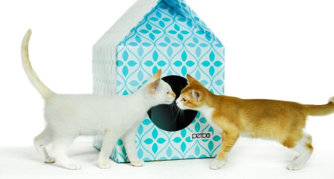 Petbo, petbo playhouse, cat playhouse, modern cat house, cat playhouse, cardboard cat house, cardboard pet house, cardboard, reader submission, stylish cat house, recyclable pet supplies, cardboard pet supplies, recyclable cat house