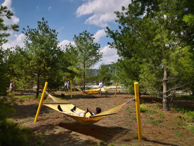 Central Green, stormwater runoff, Social Track, James Corner Field Operations, Philadelphia Navy Yard, Philadelphia Navy Yard Corporate Center, Philadelphia Navy Yard Central Green by James Corner Field Operations, native landscaping, native plants, Philadelphia park, office park