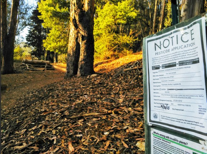 spraying glyphosate in Glen Park, spraying glyphosate in public parks, glyphosate in playgrounds, roundup in public spaces, roundup pesticide in parks, san francisco parks and rec, san francisco environment, san francisco rec and park, Phil Ginsburg, Scott Wiener