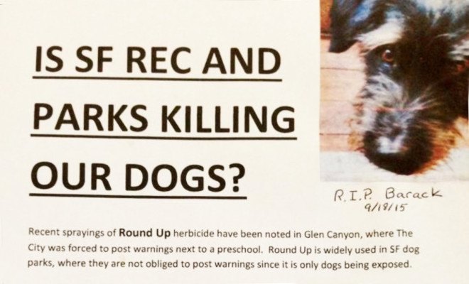 dog cancer, glyphosate, san francisco dogs dying from cancer, roundup, glyphosate