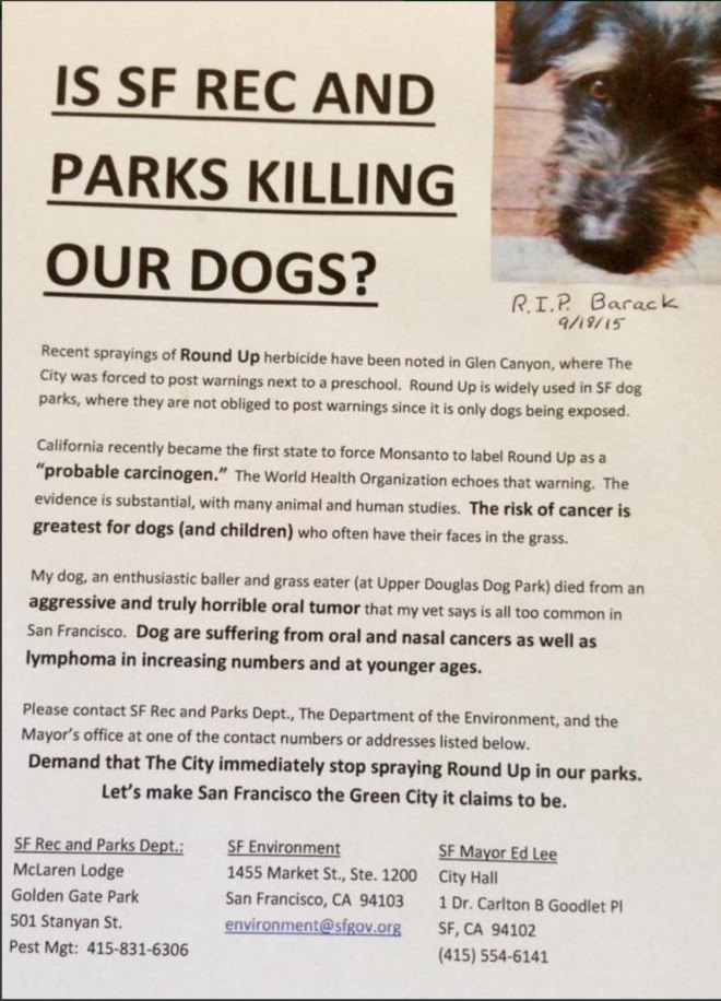 dog cancer, glyphosate, san francisco dogs dying from cancer, roundup, glyphosate