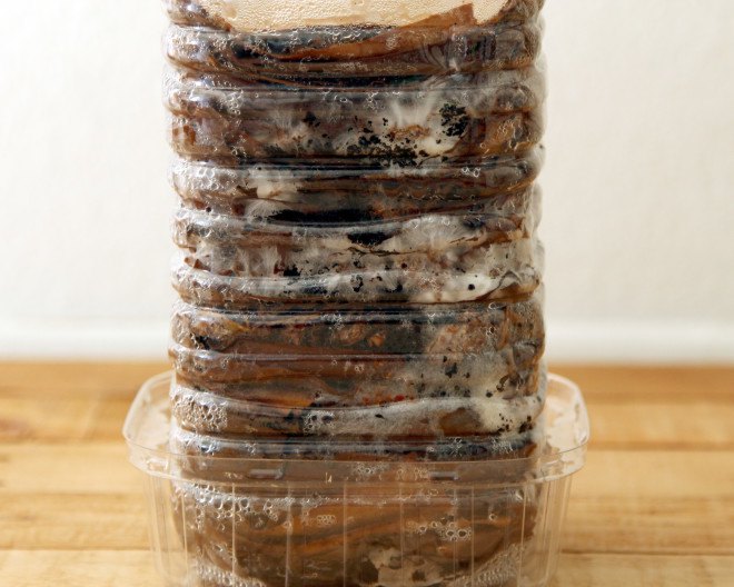 coffee, coffee grounds, cardboard, corrugated cardboard, mushrooms, grow mushrooms, reader submitted content