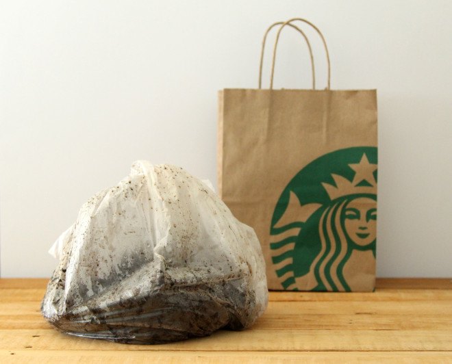 coffee, coffee grounds, cardboard, corrugated cardboard, mushrooms, grow mushrooms, reader submitted content