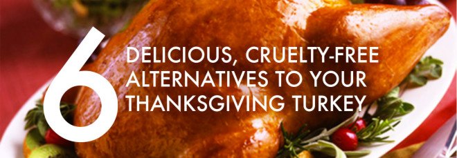 Vegan Turkey, Vegetarian Turkey, Cruelty-free turkey, vegan thanksgiving, vegetarian thanksgiving, cruelty-free thanksgiving, tofurkey, seiturkey