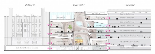 Jeanne Gang, Studio Gang, Gilder Center, American Museum of Natural History, American Museum of Natural History expansion, American Museum of Natural History Gilder Center, American Museum of Natural History Gilder Center by Jeanne Gang, museum, museum design,