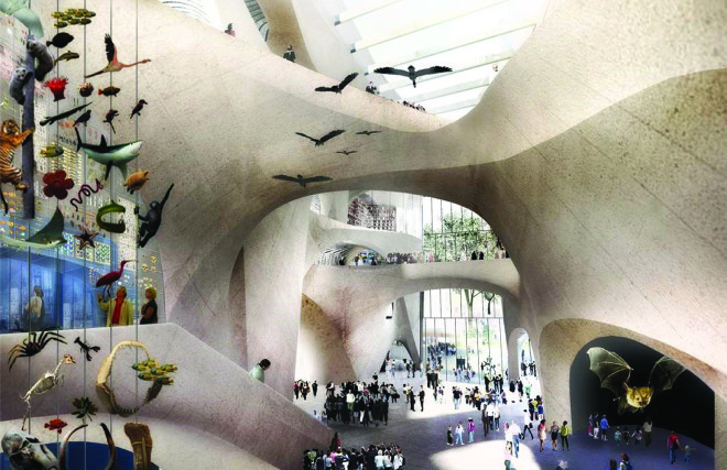 Jeanne Gang, Studio Gang, Gilder Center, American Museum of Natural History, American Museum of Natural History expansion, American Museum of Natural History Gilder Center, American Museum of Natural History Gilder Center by Jeanne Gang, museum, museum design,