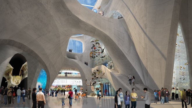 Jeanne Gang, Studio Gang, Gilder Center, American Museum of Natural History, American Museum of Natural History expansion, American Museum of Natural History Gilder Center, American Museum of Natural History Gilder Center by Jeanne Gang, museum, museum design,