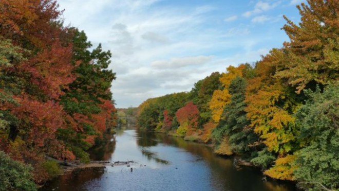 The Bronx River Alliance, Bronx River Access, U.S. Department of Transportation, South Bronx waterfront development, urban design, pedestrian bridges, bicycle bridges, nyc urban design, Concrete Plant Park, Starlight Park, green space nyc, public space nyc,