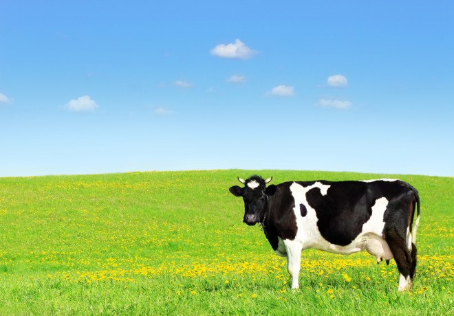 james cameron, plant based diet, global warming, climate change, factory farming, animal agriculture, greenhouse gases, carbon dioxide, methane, nitric oxide, fight climate change, vegan, vegetarian