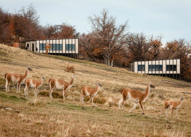 Felipe Assadi Architects, Awasi Hotel, Torres del Paine National Park, Patagonia hotels, timber hotels, timber cabins, Lake Sarmiento, Lake Sarmiento cabins, beech wood, wooden cabins, patagonia cabins, green design, wooden hotels, sustainable design