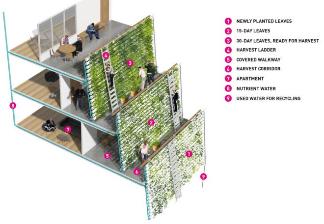 SPARK, SPARK studio, Homefarm by SPARK, retirement housing, urban farming, vertical urban farm, biomass power plant, vertical farm, aquaponics, rainwater collection, Singapore, live farm typology, mixed use,