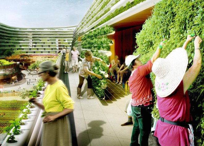 SPARK, SPARK studio, Homefarm by SPARK, retirement housing, urban farming, vertical urban farm, biomass power plant, vertical farm, aquaponics, rainwater collection, Singapore, live farm typology, mixed use,