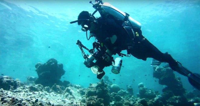 the hydrous, coral reefs, hydrous coral, coral 3d mapping, coral 3d printing, coral 3d images, autodesk coral reefs, autodesk memento, sly lee, coral reef conservation