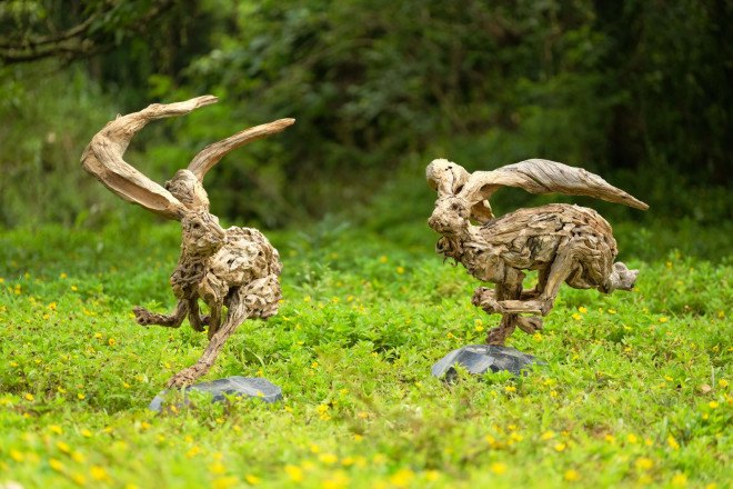 james doran-webb, driftwood, driftwood art, driftwood sculpture, animal sculpture, philippines art, sculptures, wooden sculptures, found materials, recycled materials