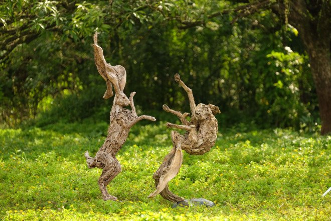 james doran-webb, driftwood, driftwood art, driftwood sculpture, animal sculpture, philippines art, sculptures, wooden sculptures, found materials, recycled materials