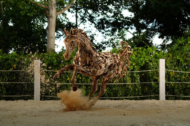 james doran-webb, driftwood, driftwood art, driftwood sculpture, animal sculpture, philippines art, sculptures, wooden sculptures, found materials, recycled materials