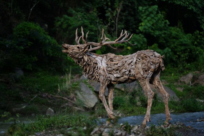 james doran-webb, driftwood, driftwood art, driftwood sculpture, animal sculpture, philippines art, sculptures, wooden sculptures, found materials, recycled materials