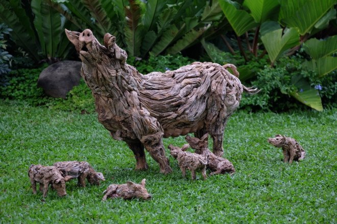 james doran-webb, driftwood, driftwood art, driftwood sculpture, animal sculpture, philippines art, sculptures, wooden sculptures, found materials, recycled materials