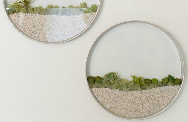 Kim Fisher, Circular Planters, interior design, wallhanging planters, vertical gardens, garden design, flower design, indoor garden creation, round planters, transparent planters, green planters, diy gardens, interior gardens, wall terrariums