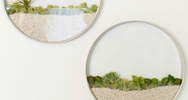 Kim Fisher, Circular Planters, wallhanging planters, hanging indoor garden, round wall planters, transparent planters for walls, wall terrariums