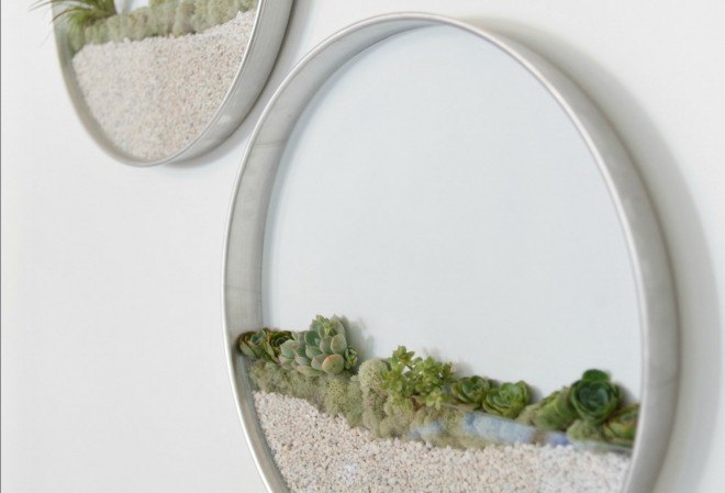 Kim Fisher, Circular Planters, interior design, wallhanging planters, vertical gardens, garden design, flower design, indoor garden creation, round planters, transparent planters, green planters, diy gardens, interior gardens, wall terrariums