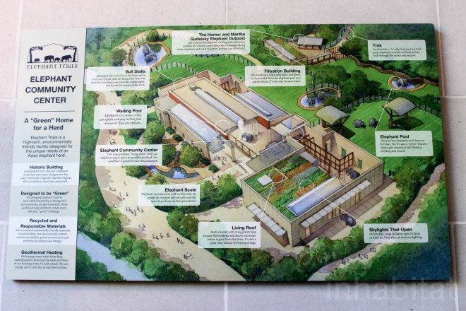 LEED Gold, Greenbuild, Greenbuild 2015, Smithsonian, Smithsonian LEED, National Zoo, Elephant Trails, geothermal wells, geothermal energy, steam-powered water tank, skylights, greywater system, elephants, elephant, Asian elephants, zoos, green roof, elephant conservation, LEED Gold Elephant Trails at the National Zoo