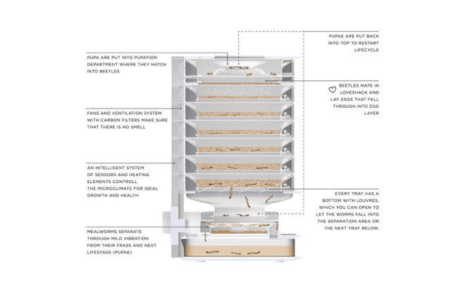 LIVIN Farms, desktop hive for edible insects, mealworms, sustainable meat, factory farming, edible insects, edible mealworms, eating bugs, Kickstarter,