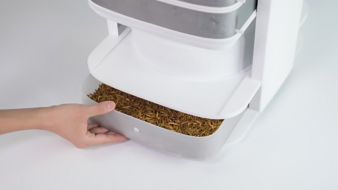 LIVIN Farms, desktop hive for edible insects, mealworms, sustainable meat, factory farming, edible insects, edible mealworms, eating bugs, Kickstarter,