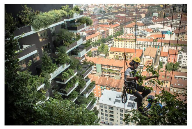 Bernard Nicod e Avni Orllati, Stefano Boeri Architetti, Bosco Verticale, Lausanne, Switzerland, La Tour des Cedres, La Tour des Cedres by Stefano Boeri Architetti, Vertical Forest, Vertical Forest Stefano Boeri Architetti, green skyscraper, vertical forest tower,