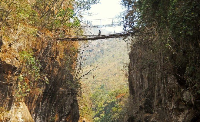 India's tree bridges, living tree bridges, living root bridges, Patrick Rogers, Living Root Bridge Project, northeast India jungle bridges, Meghalaya state living root bridges, War Khasi people, War Jaintia people, who makes living root bridges, where are india's living root bridges