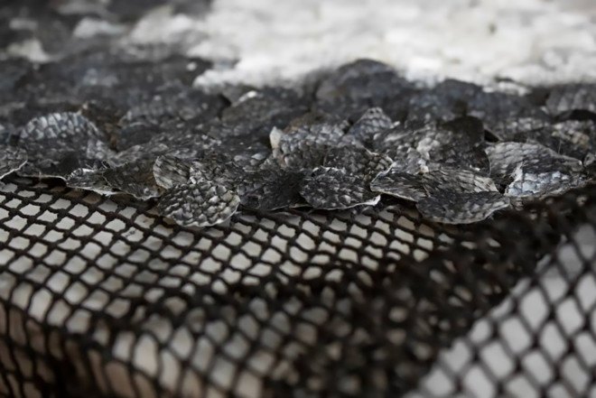 Dutch Design Week 2015, Dutch Design Week, Studio Nienke Hoogvliet, Nienke Hoogvliet, RE-SEA ME, RE-SEA ME by Studio Nienke Hoogvliet, fish leather, ocean waste, plastic waste, salmon skin, recycled salmon skin, recycled fish skin, fish skin leather
