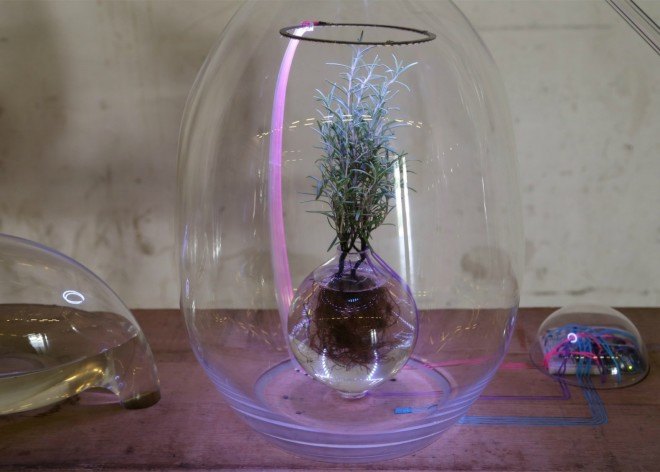 Sarah Daher, Air Culture lab, air lab, making breathable air, Plant Lab, chemical molecules, breathing chemical molecules, enriched air, Design Academy Eindhoven, manufactured air, healthy air, contamination, pollution, plant based technology, plant technology, plants for air quality, air quality, green design, sustainable design, health-based design,