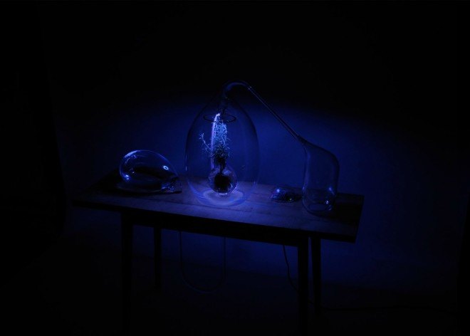Sarah Daher, Air Culture lab, air lab, making breathable air, Plant Lab, chemical molecules, breathing chemical molecules, enriched air, Design Academy Eindhoven, manufactured air, healthy air, contamination, pollution, plant based technology, plant technology, plants for air quality, air quality, green design, sustainable design, health-based design,