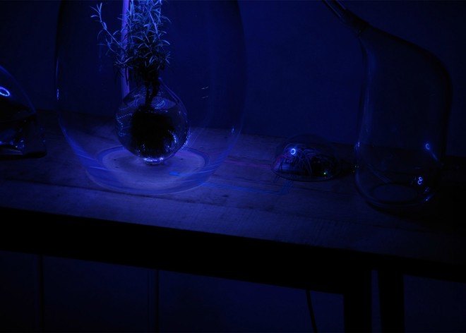 Sarah Daher, Air Culture lab, air lab, making breathable air, Plant Lab, chemical molecules, breathing chemical molecules, enriched air, Design Academy Eindhoven, manufactured air, healthy air, contamination, pollution, plant based technology, plant technology, plants for air quality, air quality, green design, sustainable design, health-based design,