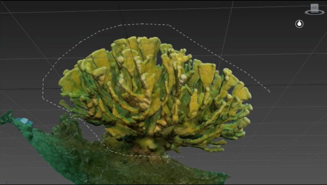 the hydrous, coral reefs, hydrous coral, coral 3d mapping, coral 3d printing, coral 3d images, autodesk coral reefs, autodesk memento, sly lee, coral reef conservation